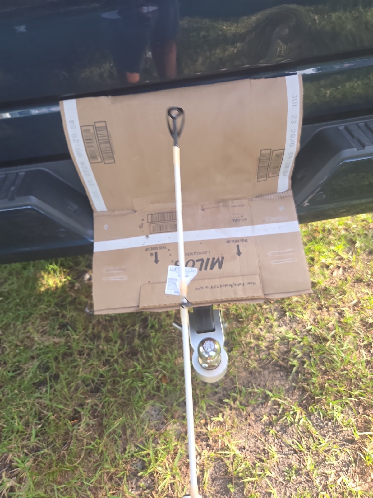 bass pro shop king cat spinng rod