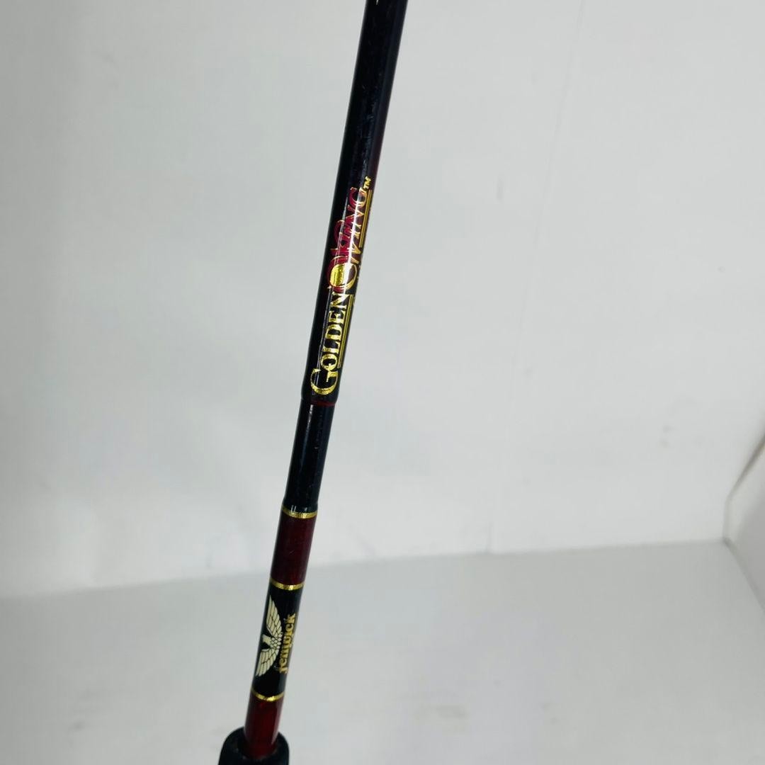Fenwick Golden Wing GW 66C Spinning Rod Used, Light Wear