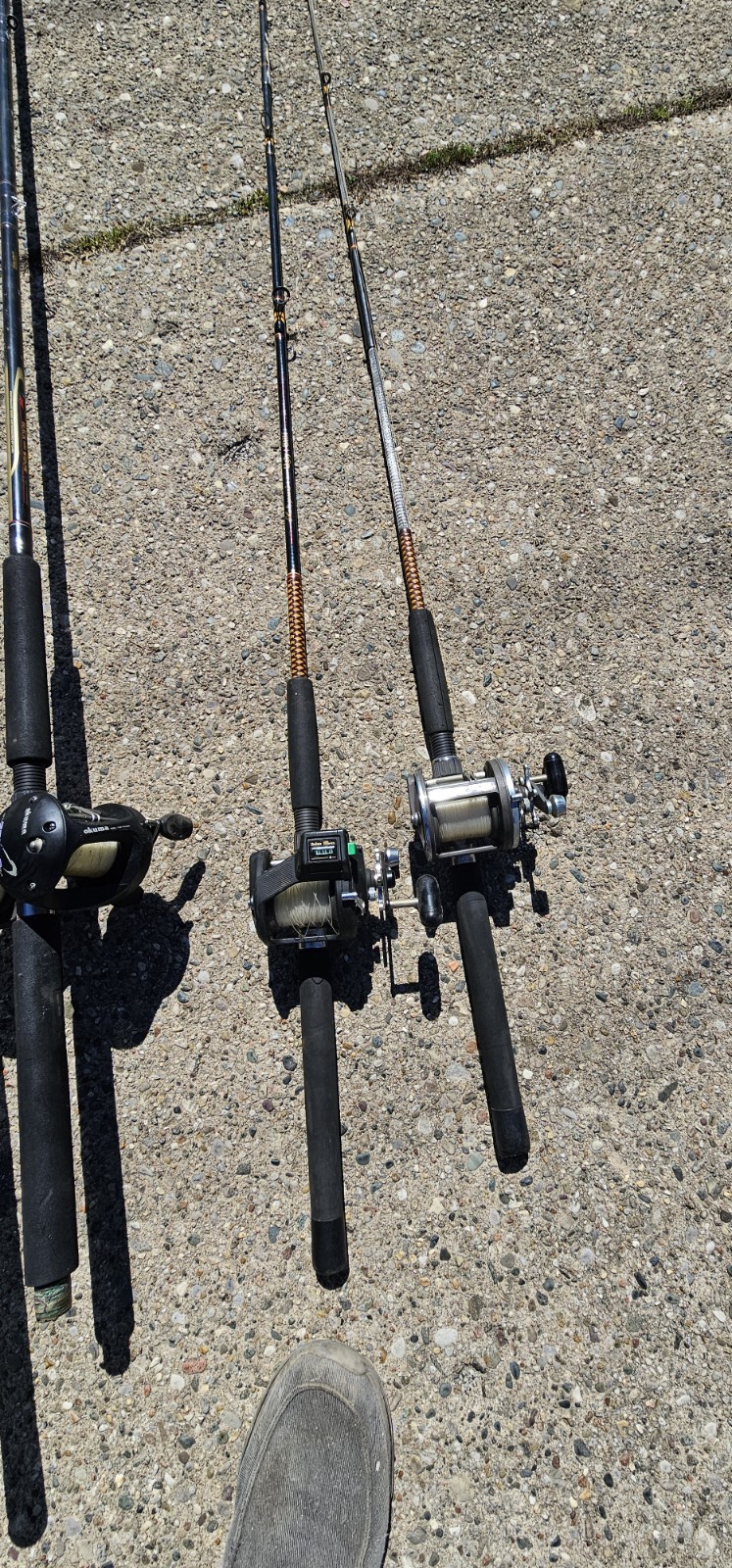 Down rigger Fishing Rods And Reels 4 Ugly Sticks 1 DAIWA Rod 1Browning Rod