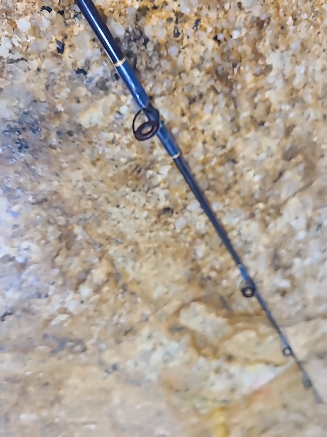 Phenix fishing rod 55 M-2 5 Ft 6 8-17 Lb