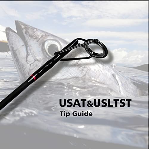 Surf Spinning Fishing Rod 2-Piece/4-Piece Graphite Travel Fishing Rod