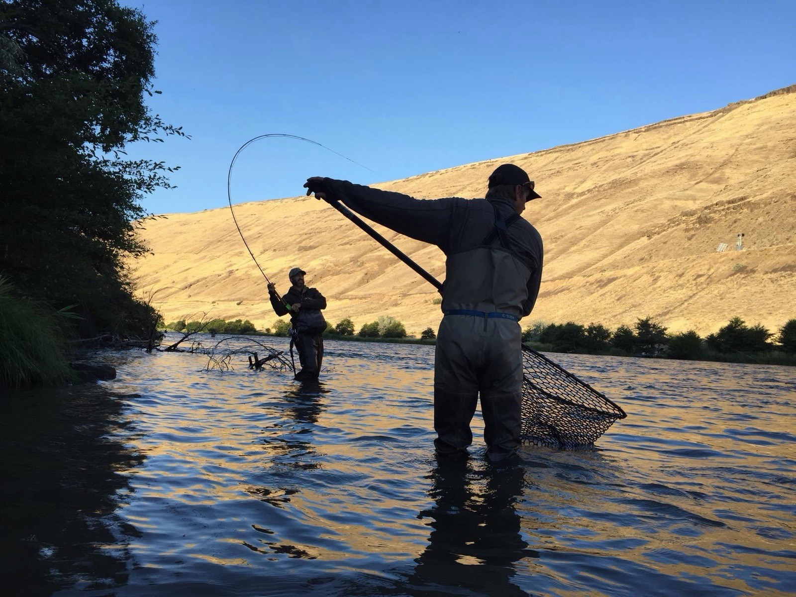ECHO DHII 7130-4 13ft 7wt 4pc Carbon Medium Fast Fly Rod w/ Tube & Sock