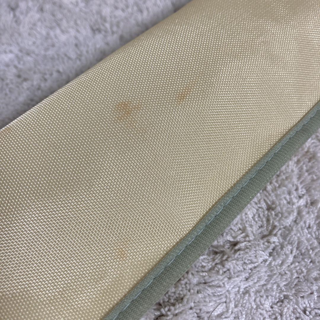 NFT NF ADVANCE Ayu 90 Hard Medium Rod Bag for Ayu fishing, Used