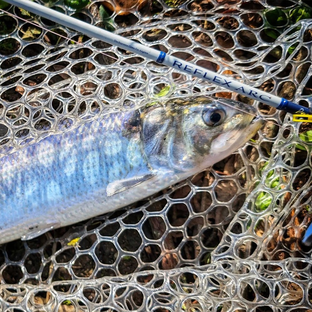 PURELURE REFLEX ARC BFS Rod Flick Casting Stream Small Bait Finesse Lightweight