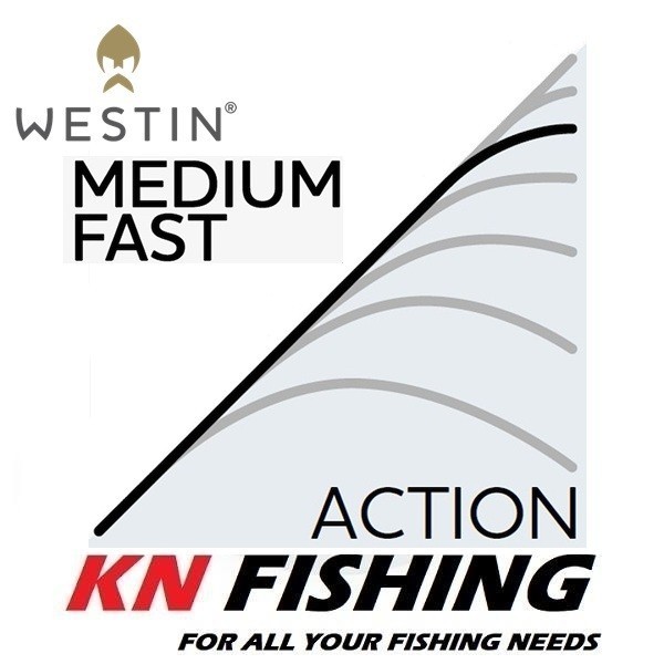 WESTIN W2 PRECISION CAST 2.49m Spinning Fishing Rod 12-42g 2sec