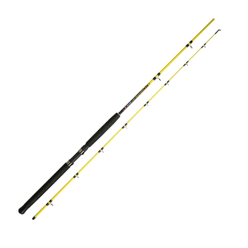 Jenzi Fishing Rod Continuum Sea Trolling 2.40m 15-25lbs Trolling Spinning Rod