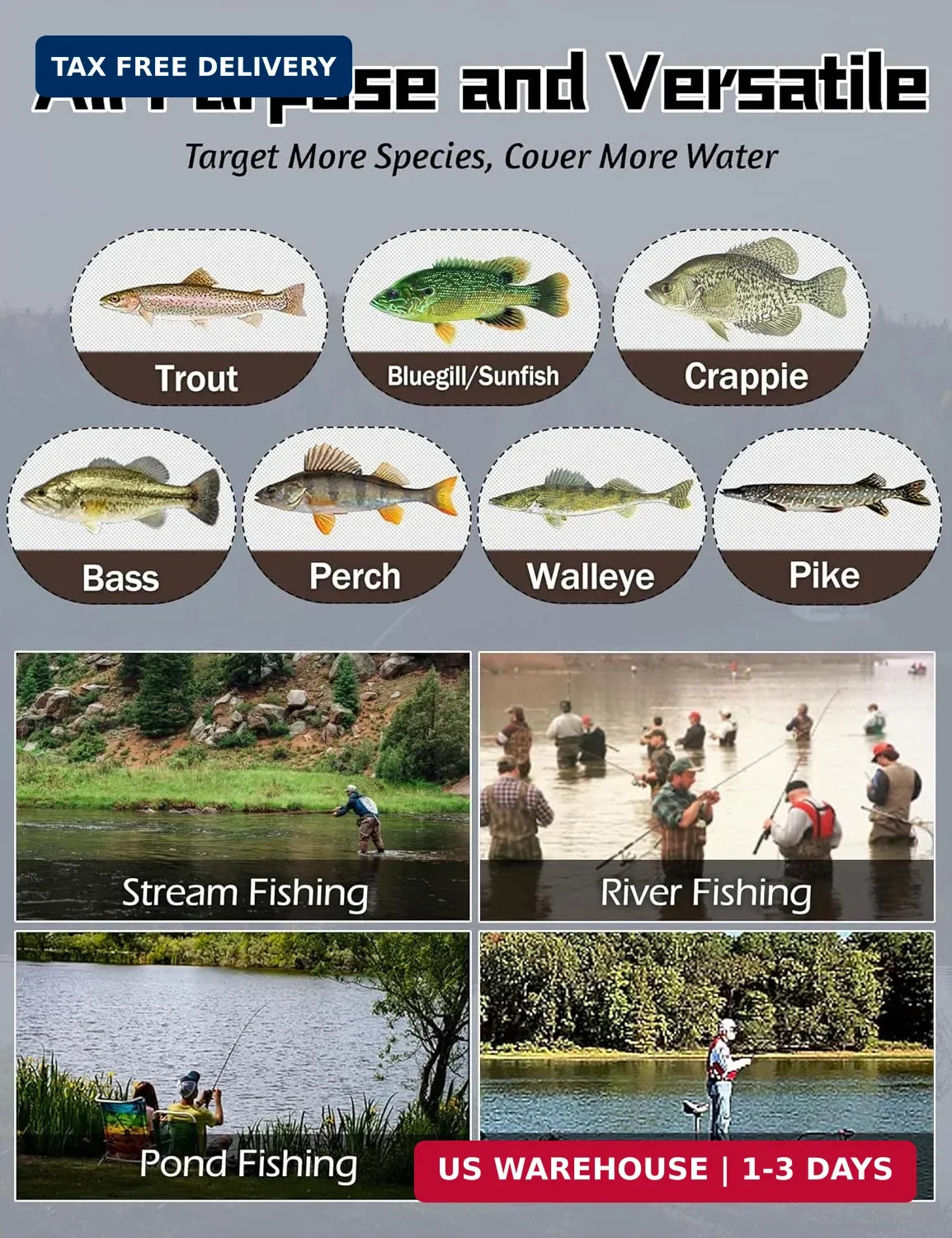 LITTMA Trout&PANFISH Ultralight Fishing Rod 2 PCS – Trout, Crappie, Panfish Micr