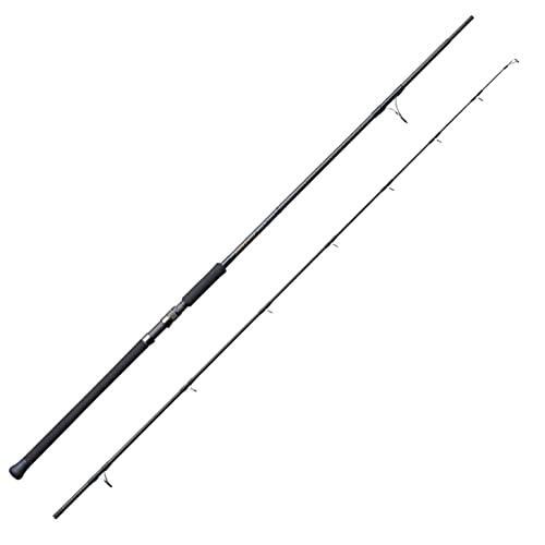 TENRYU POWER MASTER PM1002S-HH Spinning Rod
