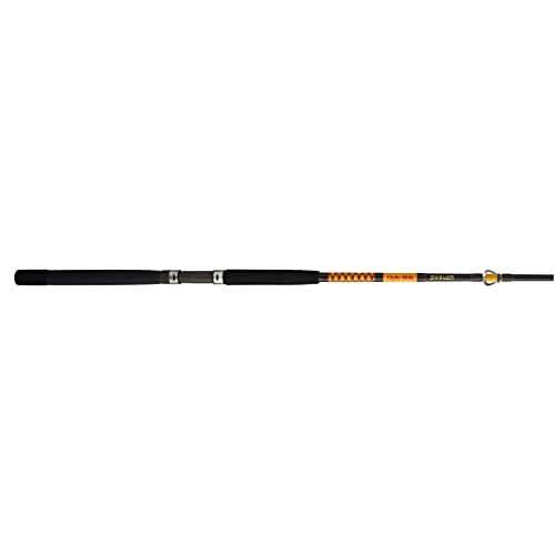Bigwater Casting Fishing Rod