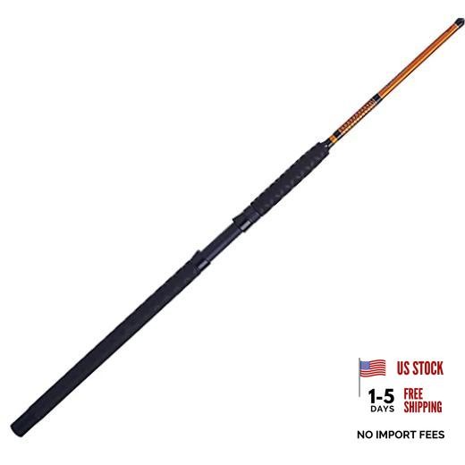 Catfish Special Casting Fishing Rod
