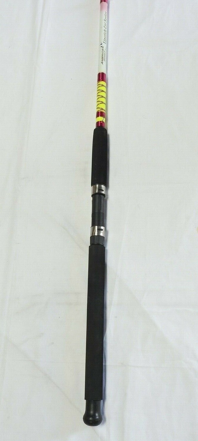 Nite Stick Catfish Casting Rod 10′ 2PC Glow Tip Pink