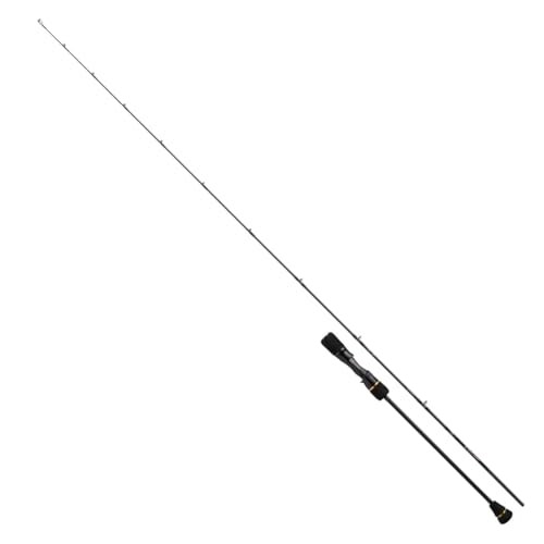 Daiwa 25 OUTRAGE BR SJ 63B-2 Slow Jigging Baitcasting Rod