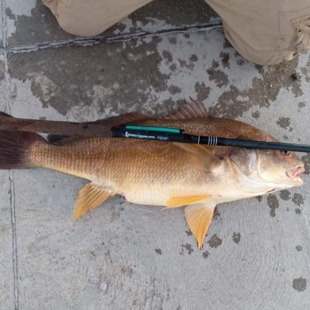 Wasatch RodZilla 16′-17’6″ Double Zoom 8:2 Action Carbon Tenkara Rod w/ Rod Tube