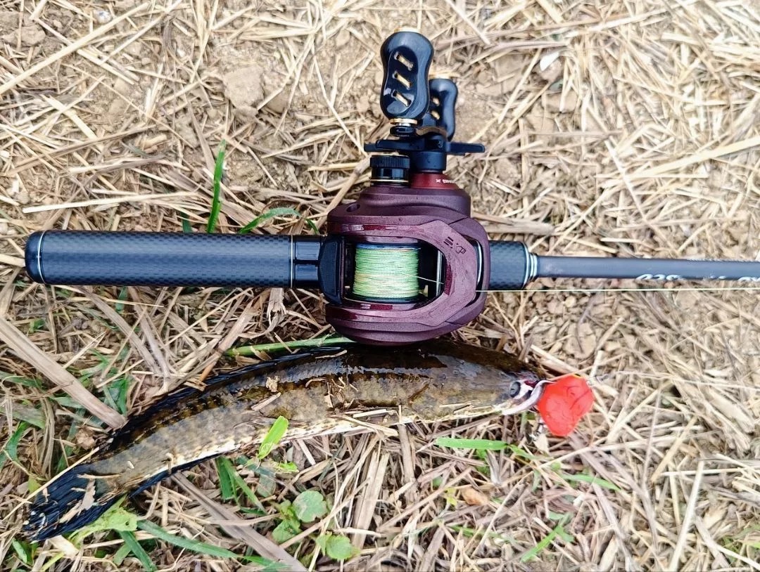 Travel Telescopic Ultralight Fishing Rod Carbon Handle Camping Trip