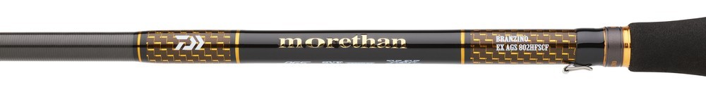 Daiwa Morethan Branzino Expert AGS