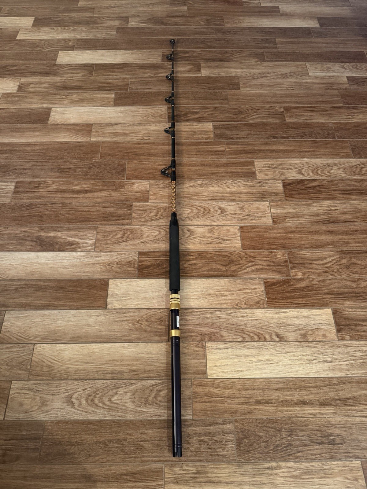 Penn International V IGFA 70 Big Game Fishing Rod With Aftco Rollers