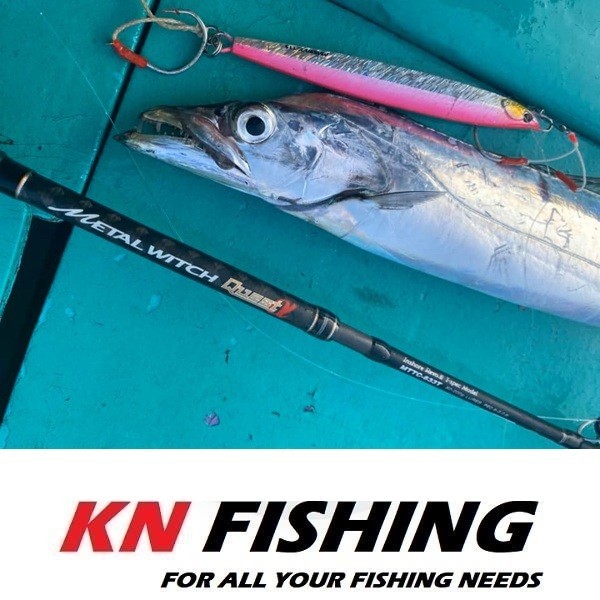 PALMS METAL WITCH QUEST A 631SF Light Slow Jigging Rod 1.91m 60-110gr