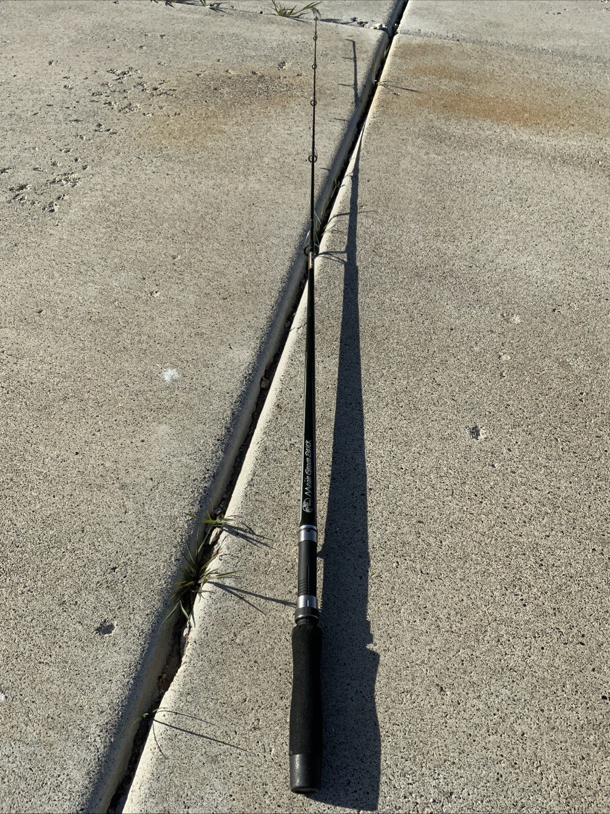 Bass Pro Shops (MG56LS) 1-Piece Graphite Light Action Casting Rod 5’6″