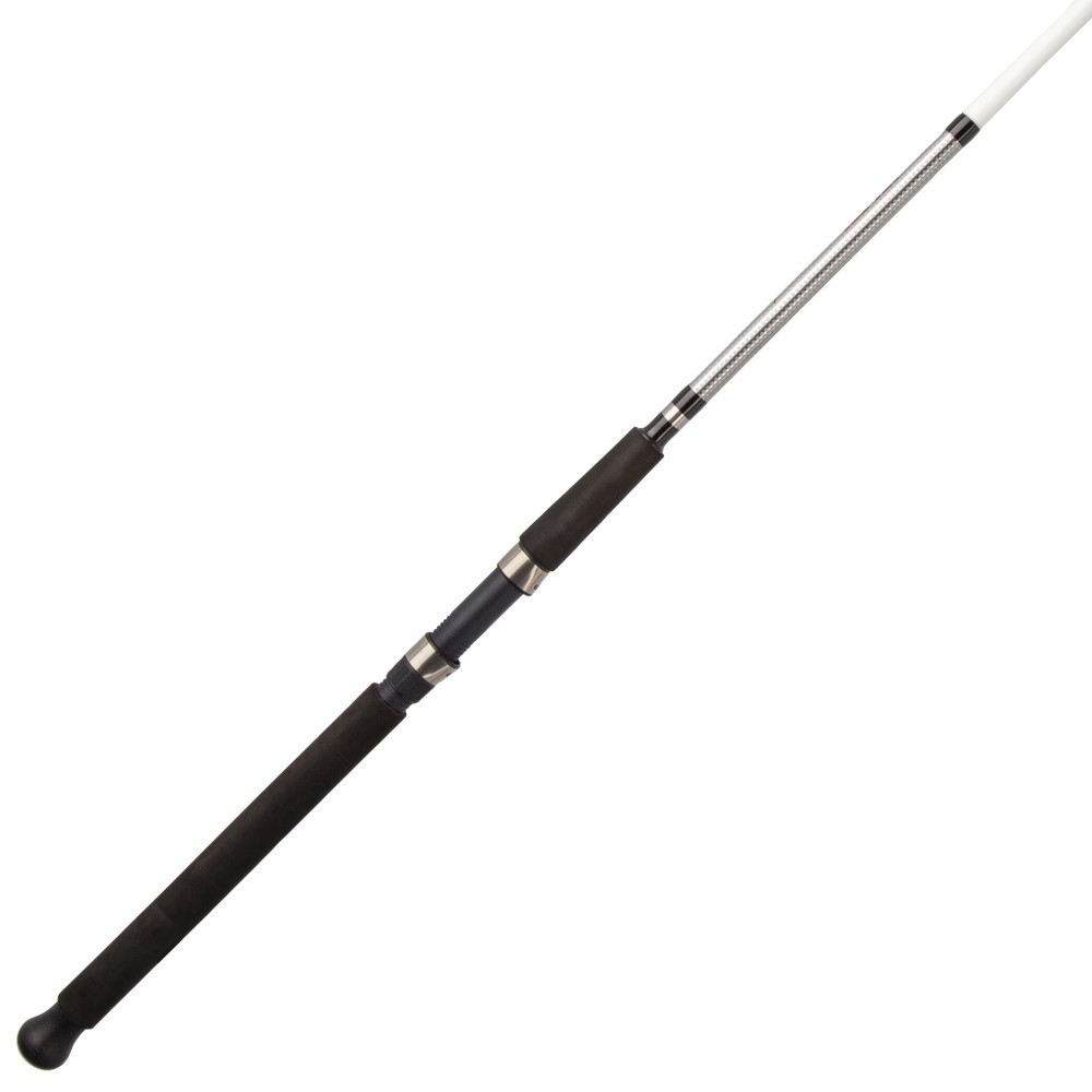 Bigwater Spinning Rod, 12′ Medium Heavy Fishing Rod, 2 Piece