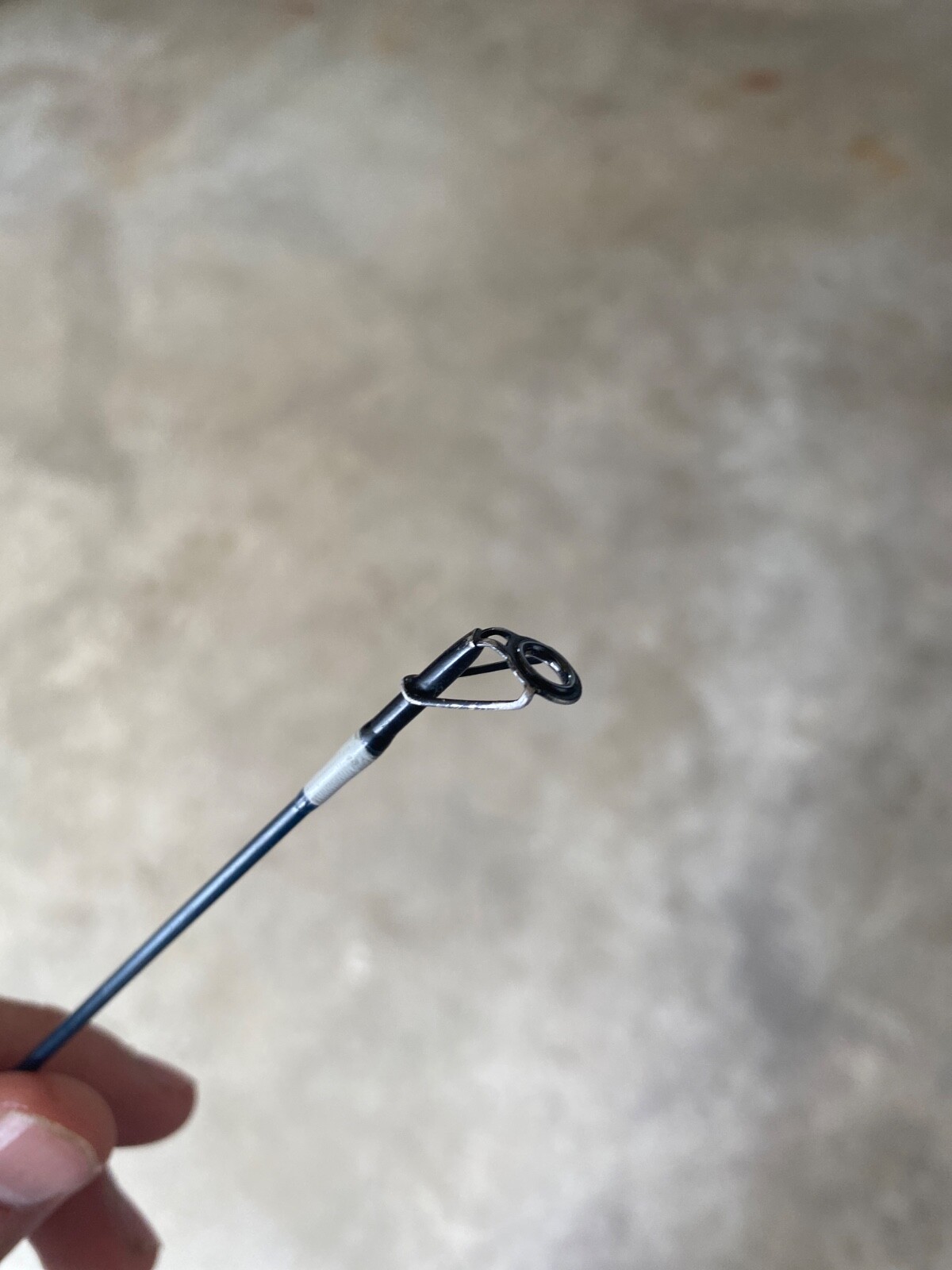 scheels spinning rod