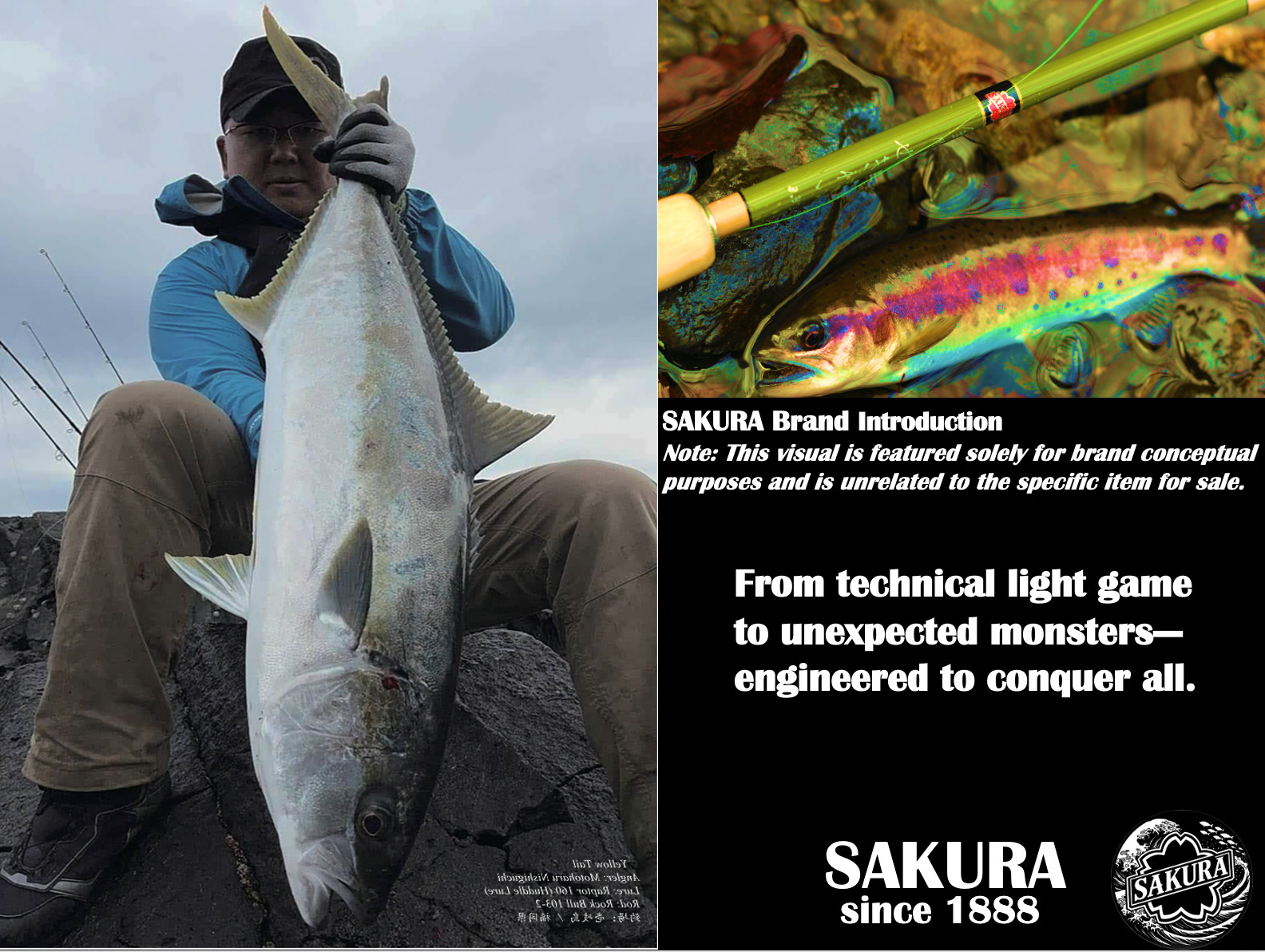 Japanese Fly Fishing Rod All Freshwater Fish 12ft Graphite UL JDM SAKURA Tenkara