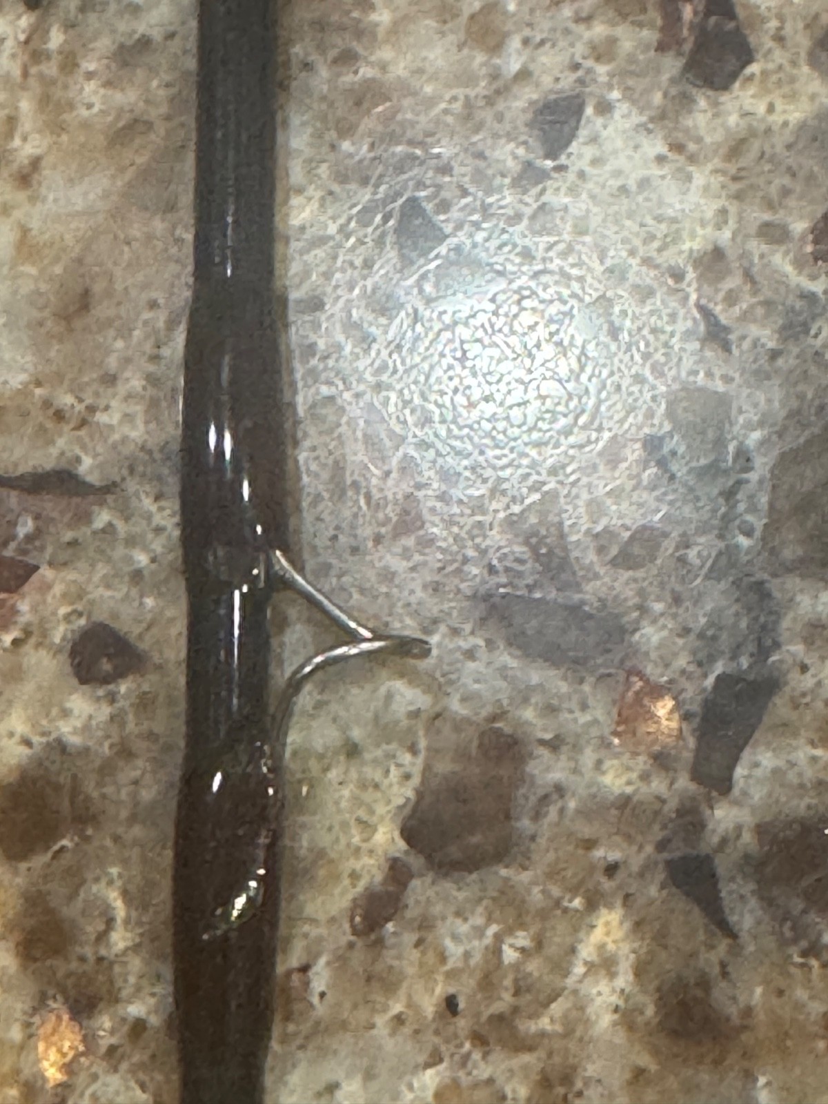 Orvis Clearwater Graphite Fly Rod – 7’9” 5WT 2-Piece (Model 795-2 Mid Flex 6.5)