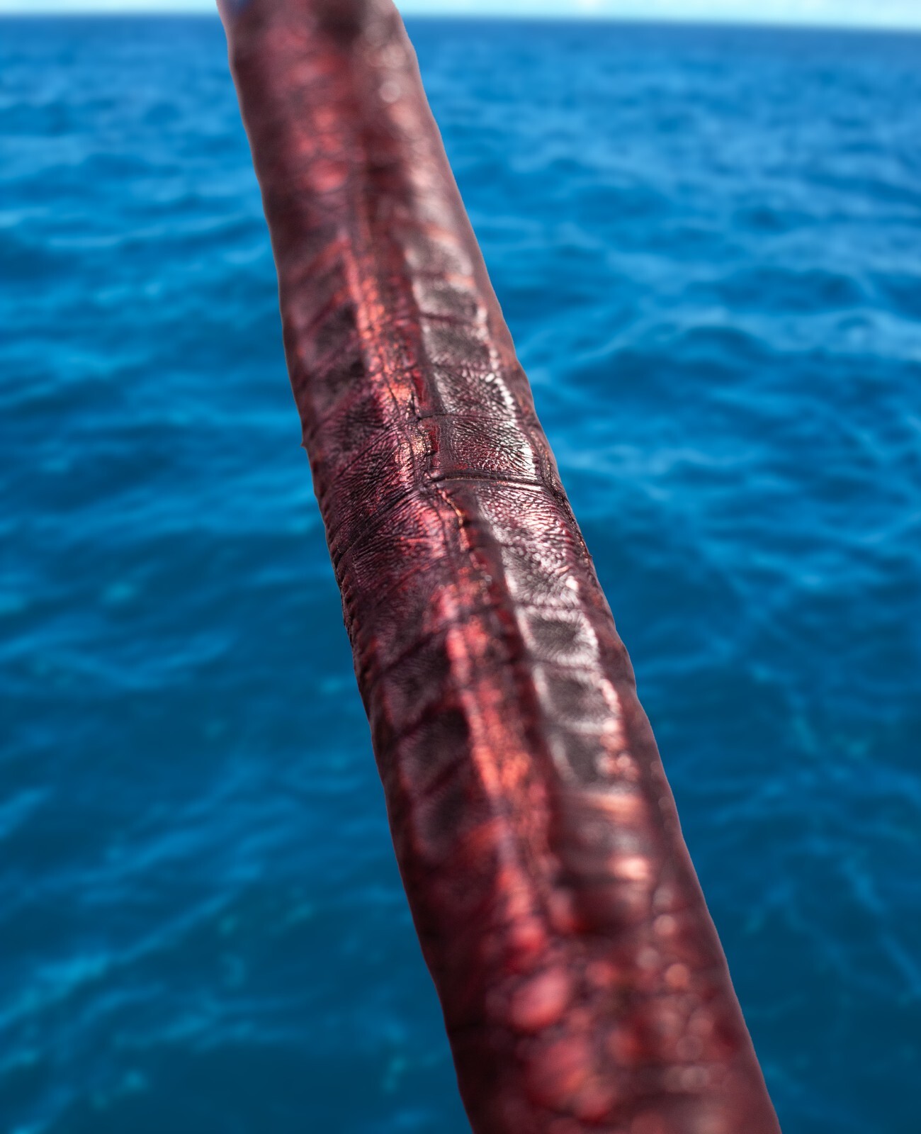 Custom Fishing Rod, Real Crocodile Skin Grips, Awesome Paint Job, ADJUSTABUTT – 