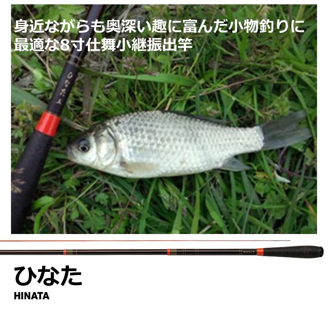 DAIWA Hinata 5-foot stream fishing rod