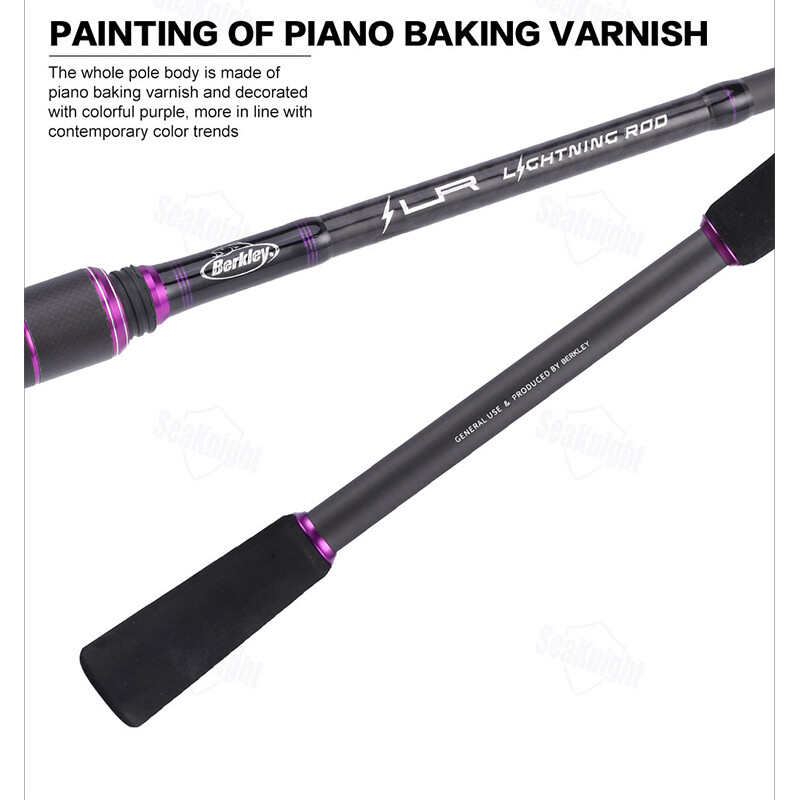 Berkley Lightning Baitcasting Fishing Rod 2 Rod Tips Saltwater Fishing Rod