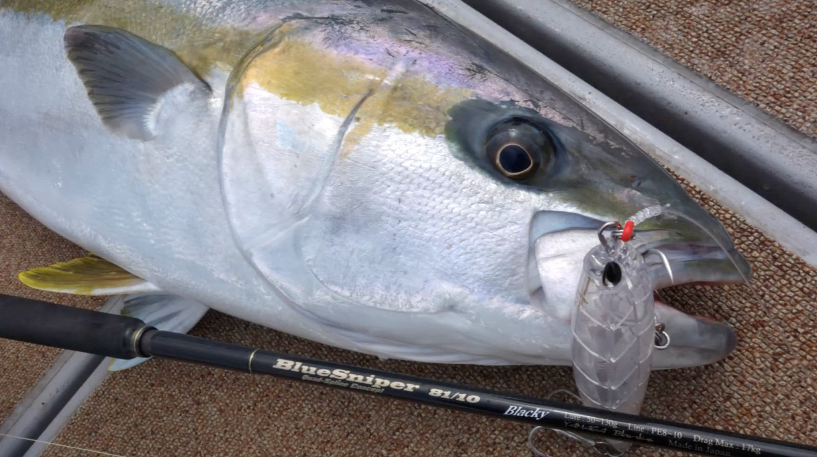 Yamaga Blanks BlueSniper 81/8 Blacky tuna boat casting PE 8 made in japan
