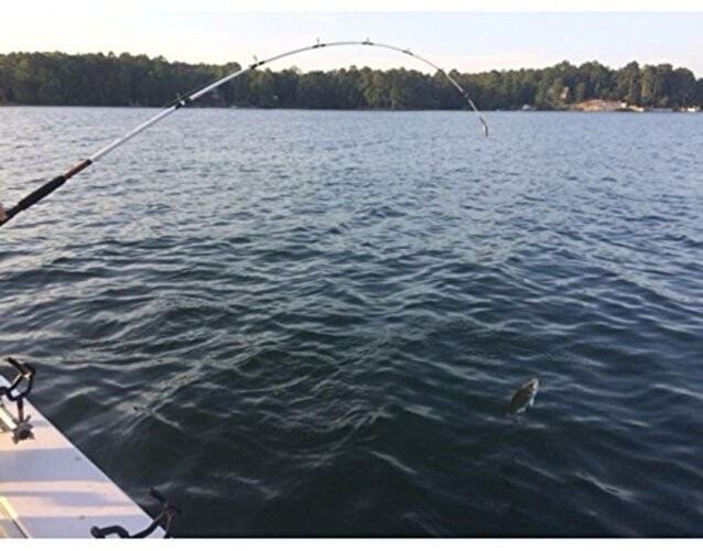 7’ Catfish Spinning Fishing Rod and Reel Catfish Combo, Ugly Tech