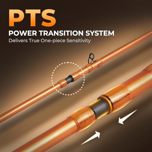 Lethal Blaze Twin-Tip Fishing Rods, IM6 Graphite Blanks Casting & Spinning