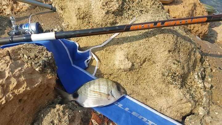 YUKI MILLENIUM Pole Fishing Float Rod High Modulus Carbon 5m 6m 7m 8m
