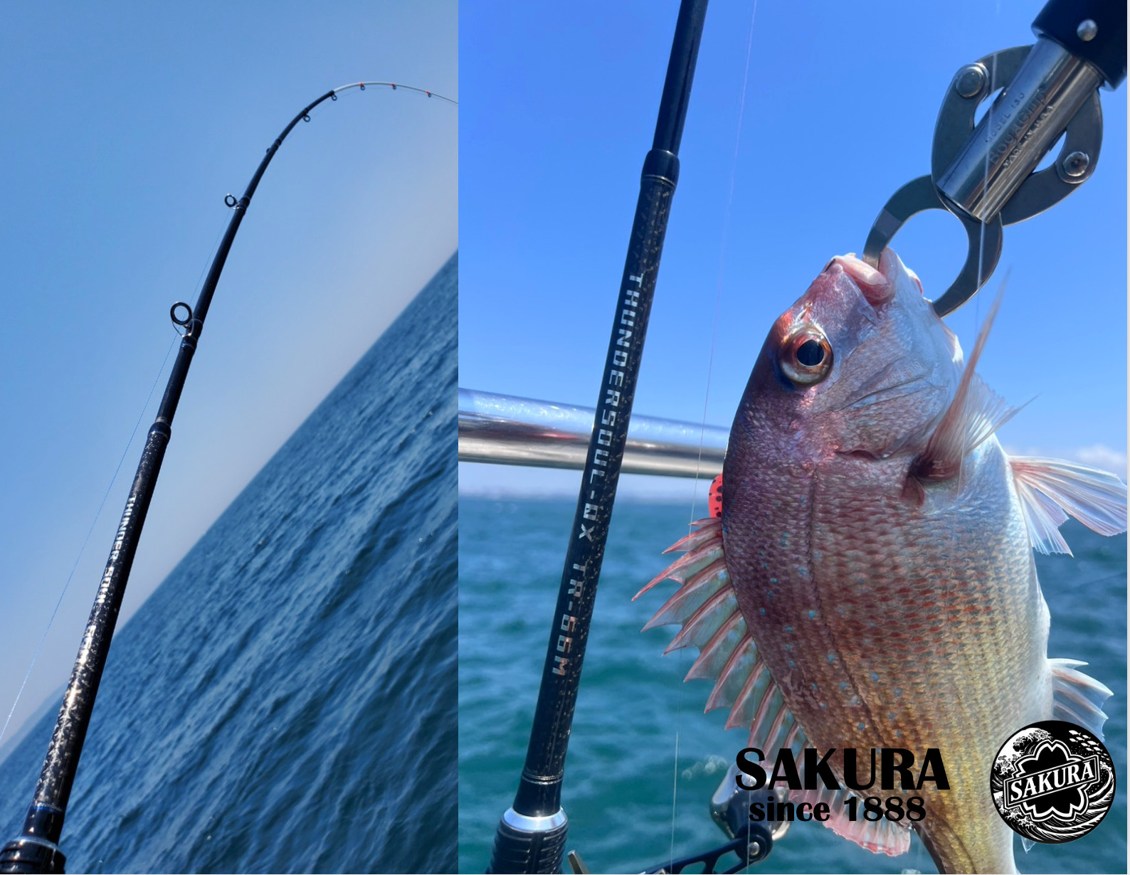 Lure Fishing Rod From Japan Vertical Jigging Sea Bream Glass Carbon SAKURA pole