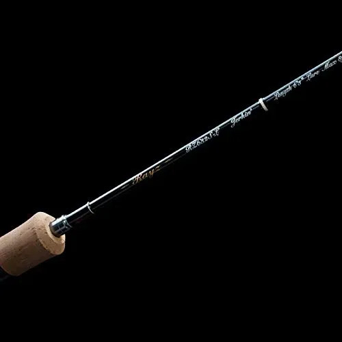 Japan NEW Tenryu Rayz RZ842B-MMH Allround Trout Rod 8’4″ 2pcs 25g 12lb