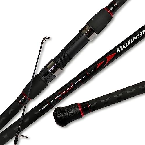 Surf Spinning Fishing Rod 2-Piece Graphite Travel Fishing Rod(12 Feet & 10