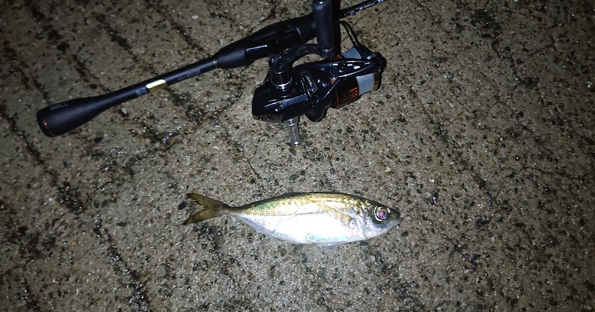 SHIMANO 2021 Soare XR S48UL-S Light Salt Game Ajing Rock fish From Japan
