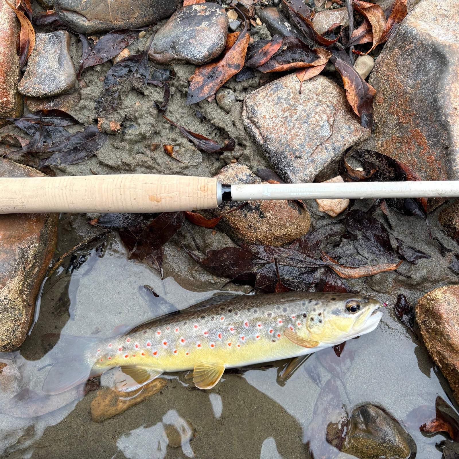 Wasatch MothRod 8’5″ Tenkara Rod 1.9 oz Collapses 16in w/ Rod Tube