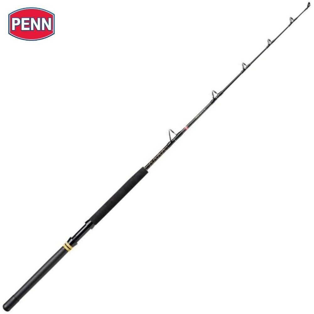 PENN Drifting And Trolling Big Game Fishing Rod SQUALL II 1.68m/30-80lb
