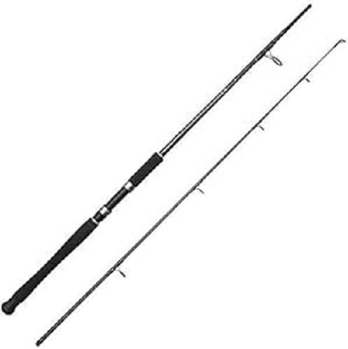 RON THOMPSON HARDCORE Heavy SPIN 10ft 20-70g Norway Bass Pollock Catfish