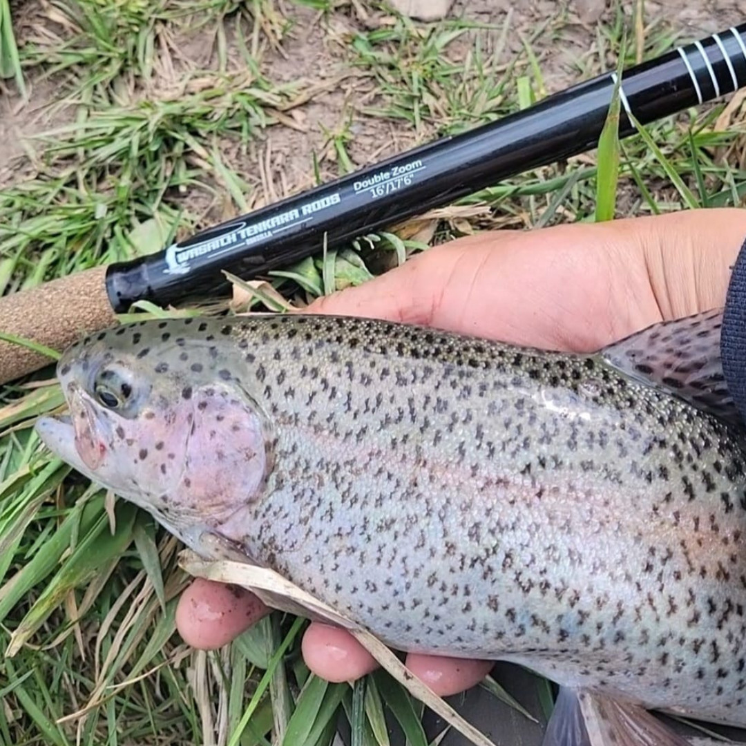 Wasatch RodZilla 16′-17’6″ Double Zoom 8:2 Action Carbon Tenkara Rod w/ Rod Tube