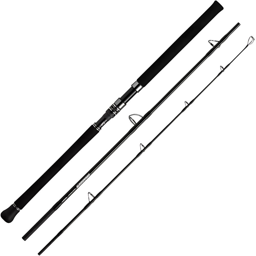 DAIWA High-End Shore Jigging Rod DRAGGER BREAK THROUGH 100HH-3