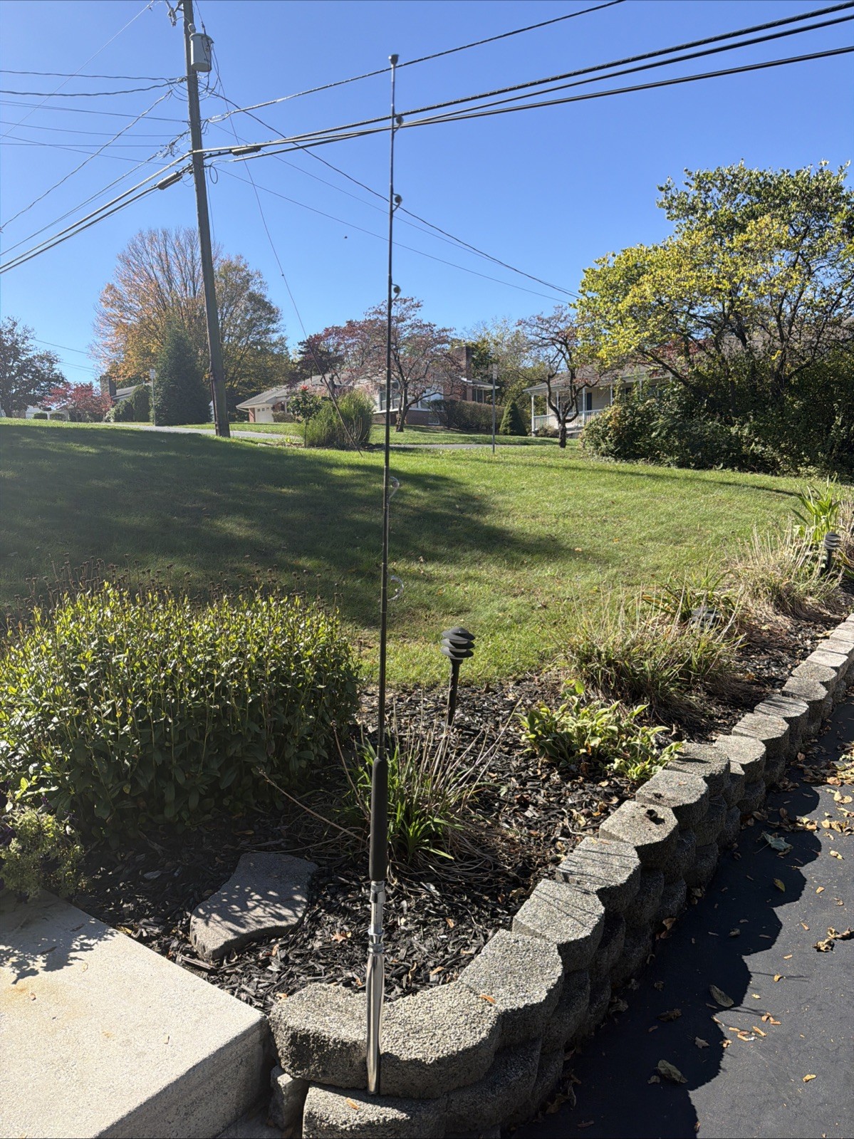 Fishing Rod Custom Fenwick HMG G630 Trolliing w/Mildrum Rollers: 6’9” 30lb Class