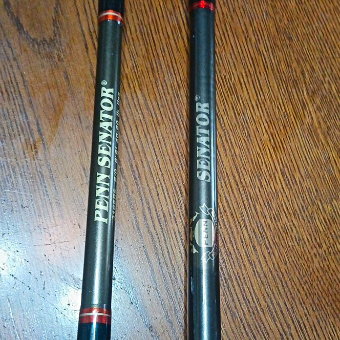 (2) Penn Senator 3165RS 6’6″ Trolling Rod 40-60lb & 60-80lb