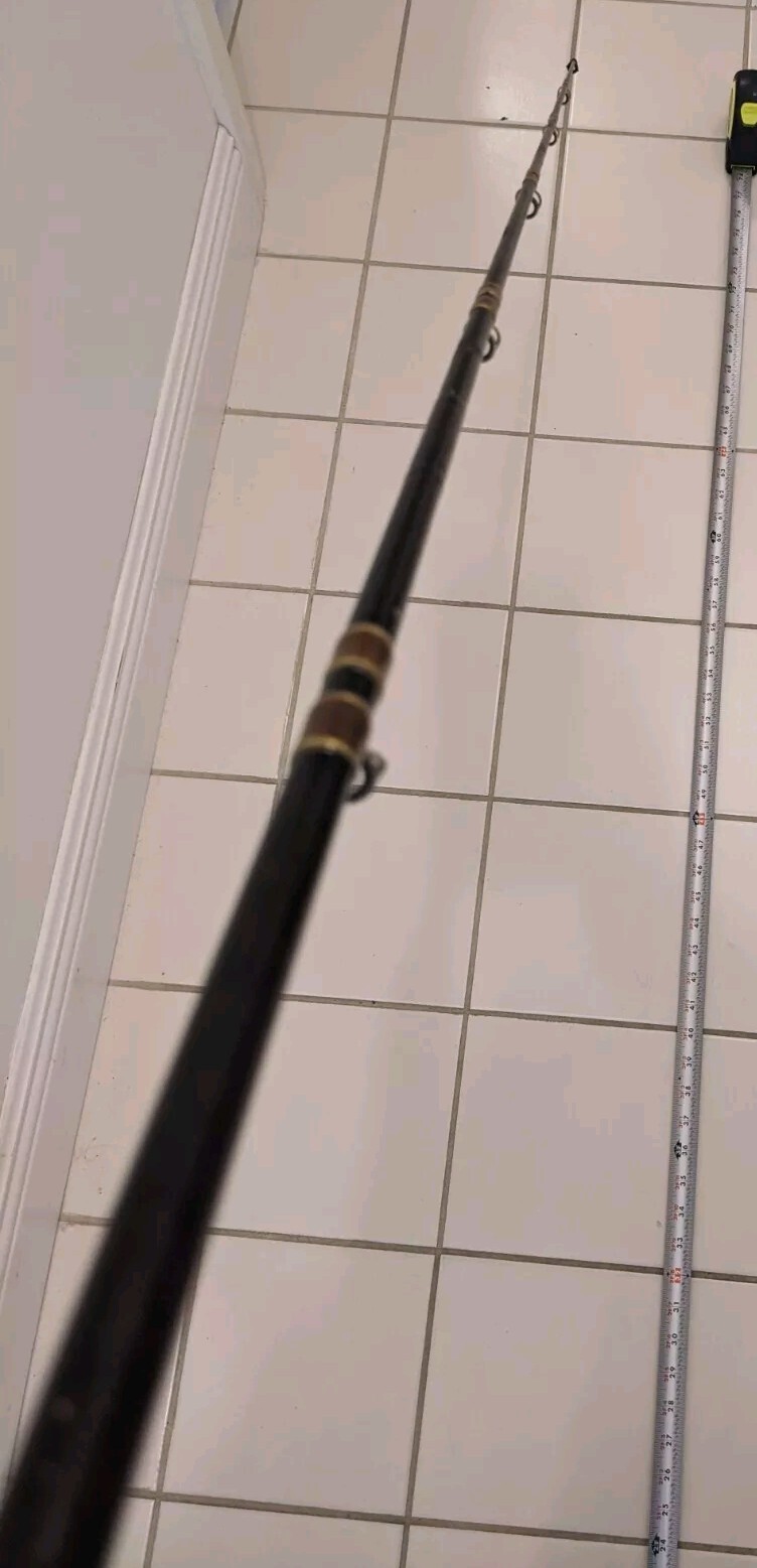 Fenwick Legacy TriggerStick Casting Fiberglass Rod – Read