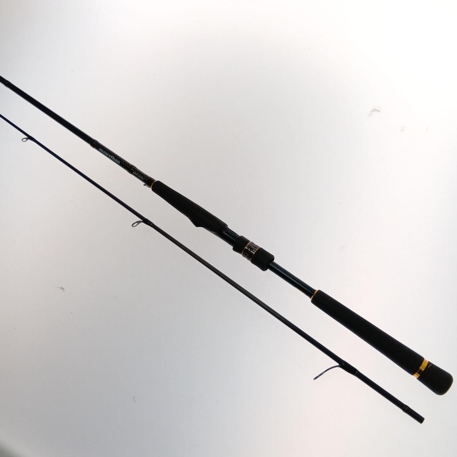 DAIWA Morethan Expert AGS 93ML 01480332