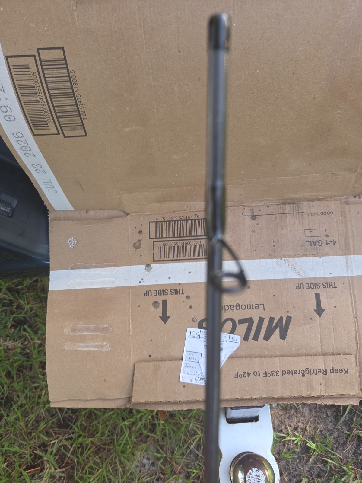 bass pro crappie max spinning rod
