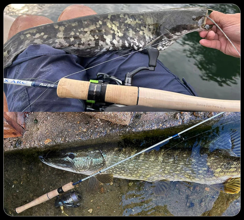 PURELURE REFLEX ARC Flick Cast BFS Rod 6FT Toray Carbon T1100 SIC