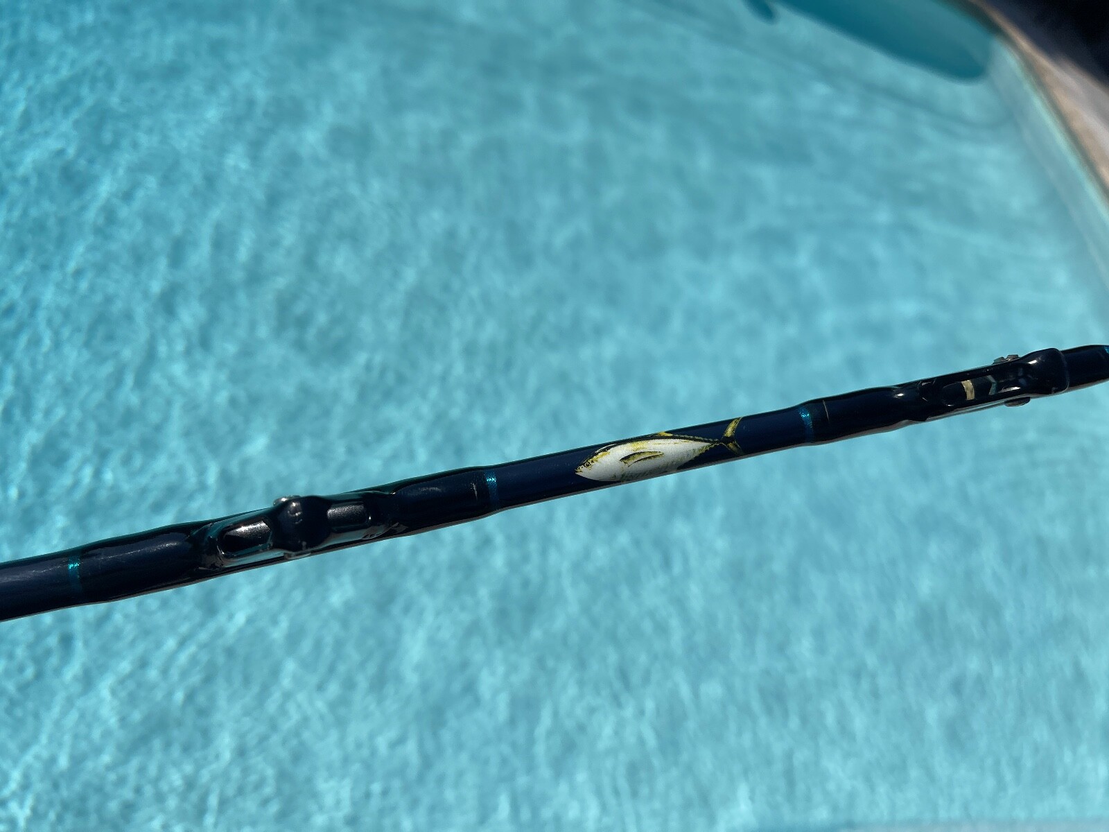 Quantum Gold Blue Runner Fishing Pole/Rod BGCA5680 5’6″ 30-80lbs