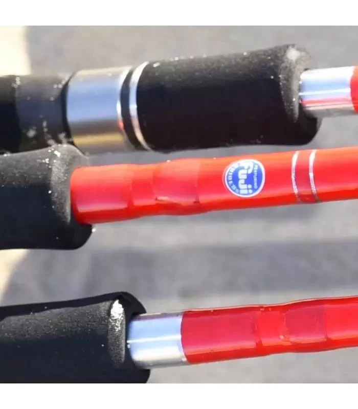 SPANISH LURES SEAVARA PAIXON Spinning Fishing Rod 2.66m H 20-65g